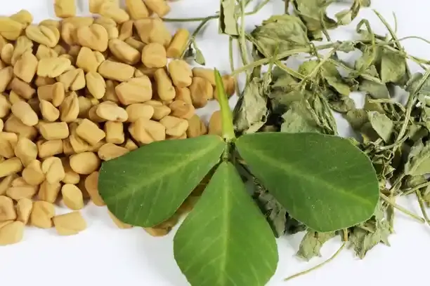 fenugreek extract powder.webp